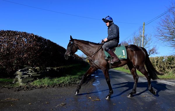 Galopin Des Champs and Adam Connolly 