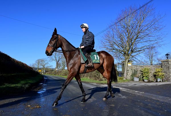 Kopek Des Bordes and Conor Owens 