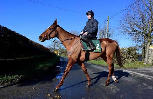 Willie Mullins and David Casey