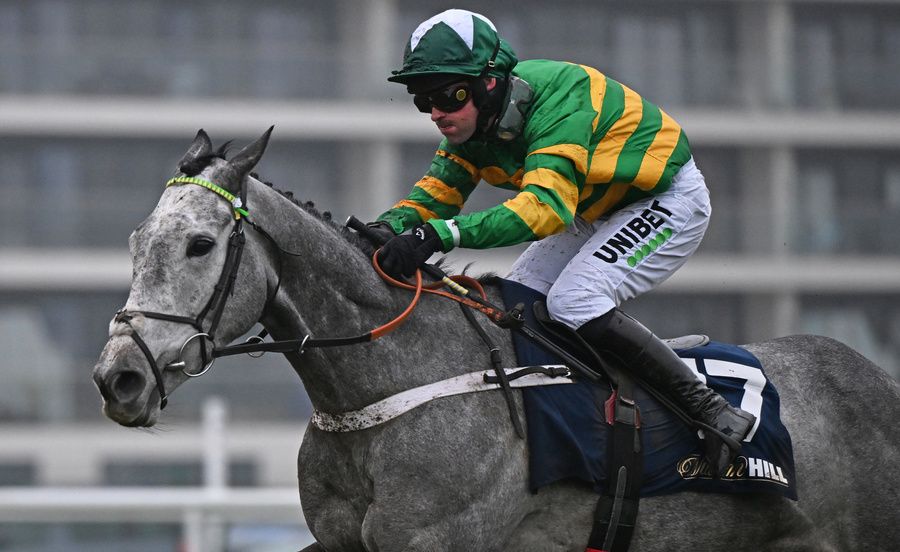 Joyeuse (Nico De Boinville) wins the William Hill HurdleNewbury Racecourse 08.02.25 Healy Racing