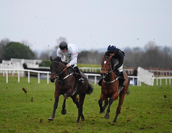 Brighterdaysahead (left) and Sam Ewing galloping at Navan with Teahupoo (Danny Gilligan)