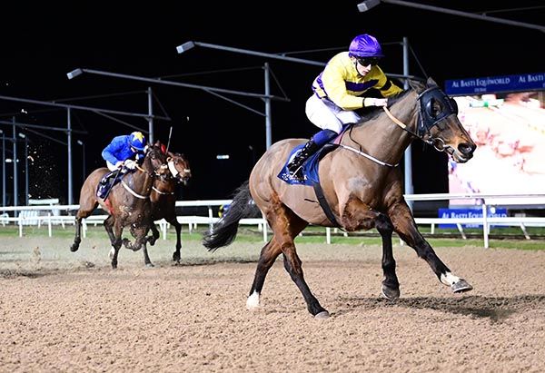 Darkened and Darragh O'Sullivan. 