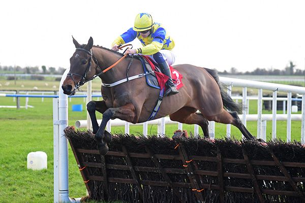 Great Attitude jumps the last under Tiernan Power Roche