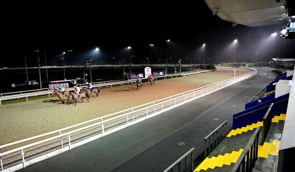 Dundalk 14-2-25  Enclosure at Dundalk Stadium(Photo HEALY RACING)