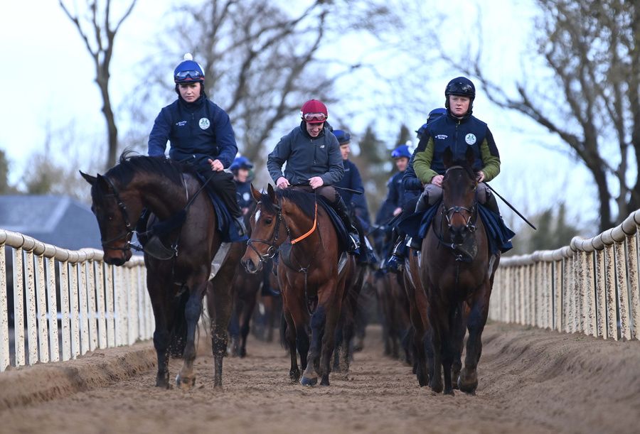 Teahupoo this morning, under Jack Kennedy (red cap, centre)