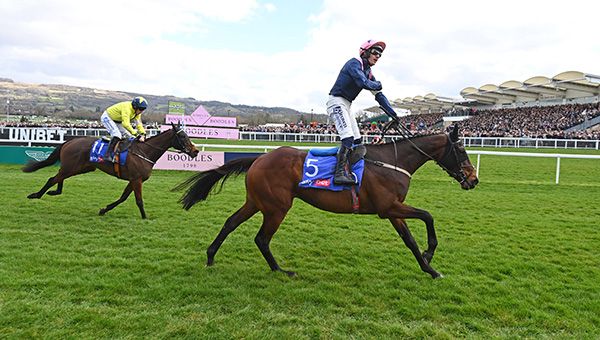 11-3-25 Cheltenham.Kopek Des Bordes and Paul Townend win the Michael O'Sullivan Supreme Novices' Hurdle (Grade 1).Healy Racing Photo