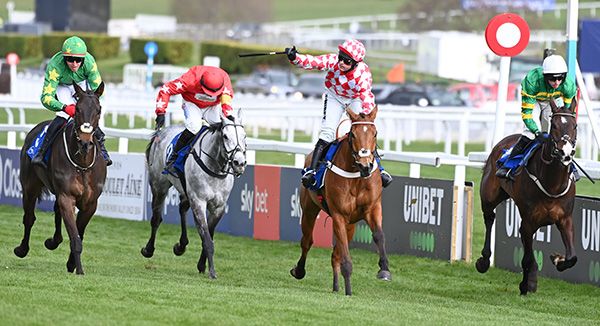 11-3-25 Cheltenham.Jango Baie and Nico De Boinville (2nd right) win the My Pension Expert Arkle Challenge Trophy Novices' Chase (Grade 1) from Only By Night (left) Majborough (right) and Leau Du Sud (2nd left).Healy Racing Photo