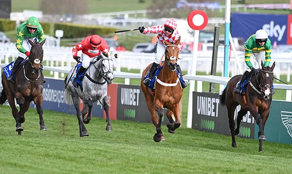 Only By Night (left) losing out to Jango Baie (centre) with Majborough (right) 