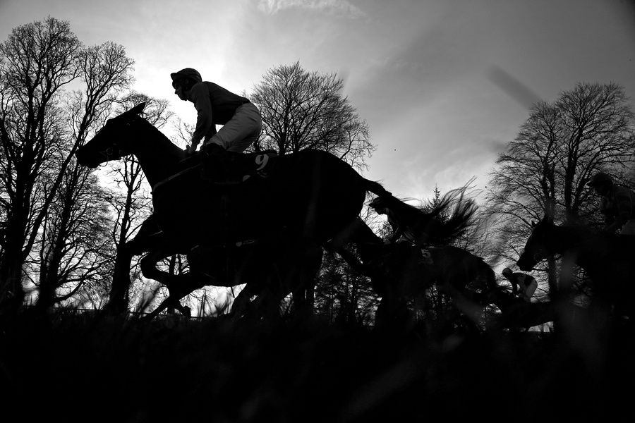 Doncaster is next port of call for Lazy Griff