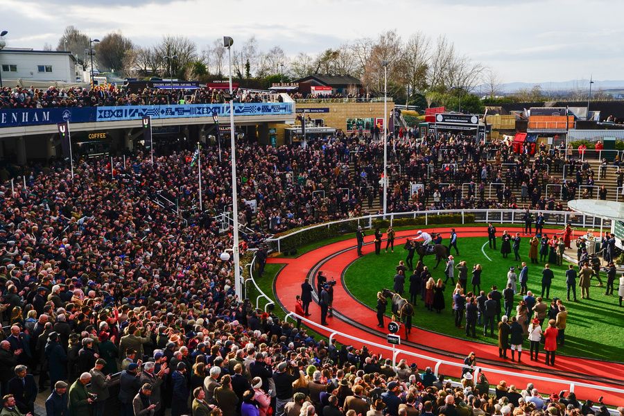 Unibet Champion Hurdle Grade 1 Golden Ace and Lorcan Williams are led into the winners enclosure