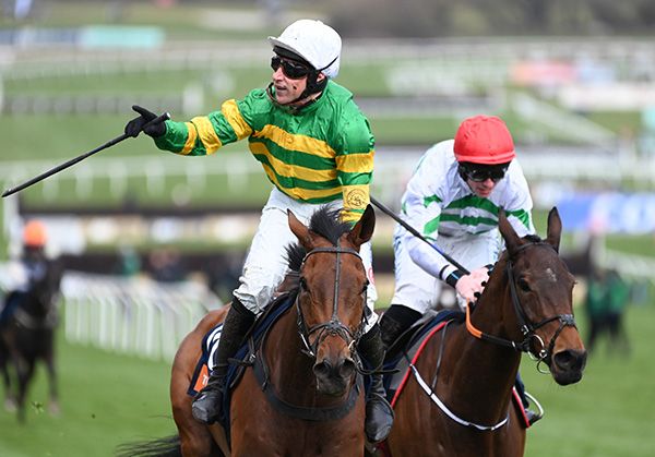 The New Lion and Harry Skelton (left)