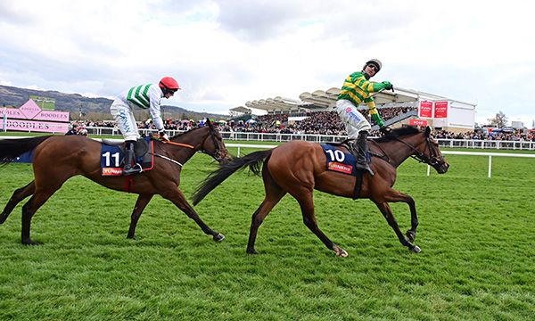 The New Lion (right)