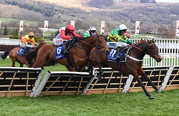  Impose Toi (green and yellow)