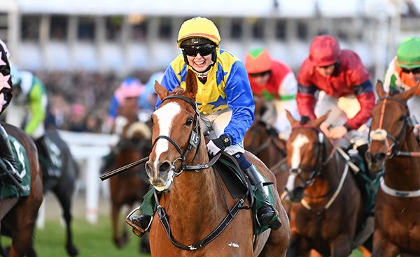 12-3-25 Cheltenham.Bambino Fever and Jody Townend win the Weatherbys Champion Bumper (Grade 1).Healy Racing Photo
