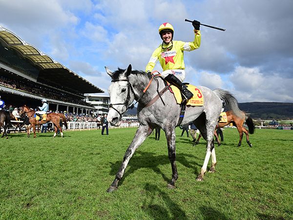 13 3 25 Cheltenham Caldwell Potter and Harry Cobden