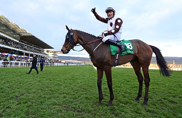 Daily Present and Barry Stone at Cheltenham
