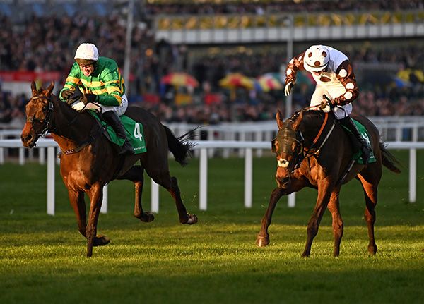 Johnnywho (left) finishing second to Daily Present