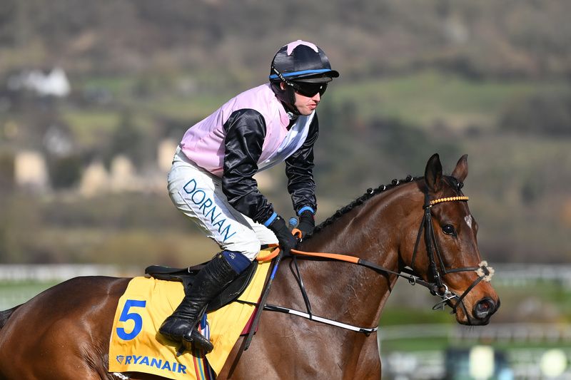Heart Wood makes his seasonal debut at Punchestown
