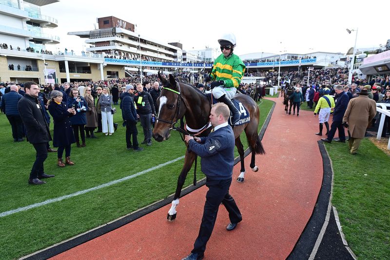 Jonbon and Nico de Boinville in the parade ring before the Queen Mother Champion Chase 