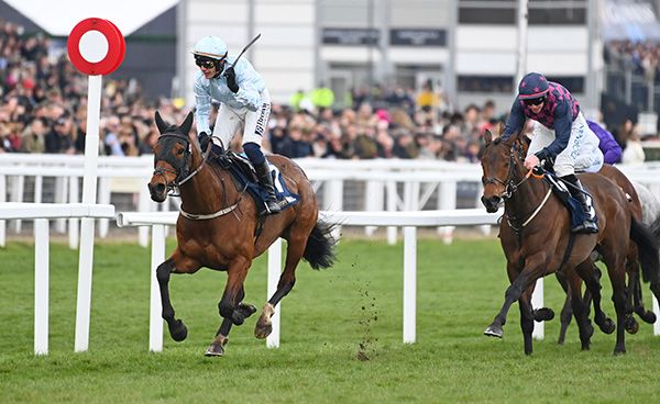 14-3-25 Cheltenham.Kargese and Paul Townend win the William Hill County Handicap Hurdle.Healy Racing Photo