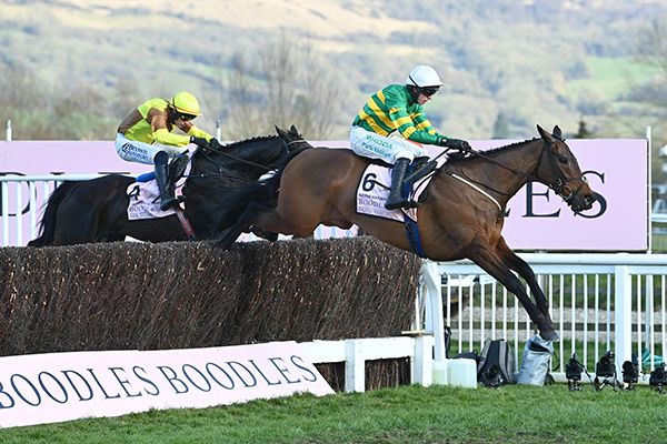 14-3-25 Cheltenham.Inothewayurthinkin and Mark Walsh win the Boodles Cheltenham Gold Cup Chase (Grade 1) from Galopin Des Champs.Healy Racing Photo