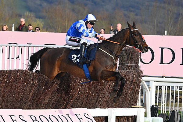 Cheltenham 14-3-25Wonderwall and Rob James jump the last to win The St. James's Place Festival Challenge Cup Open Hunters Chase for trainer Sam Curling.Healy Racing Photo
