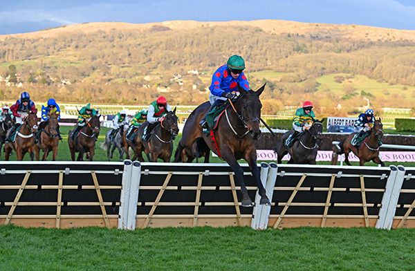 Wodhooh and Danny Gilligan winning at Cheltenham