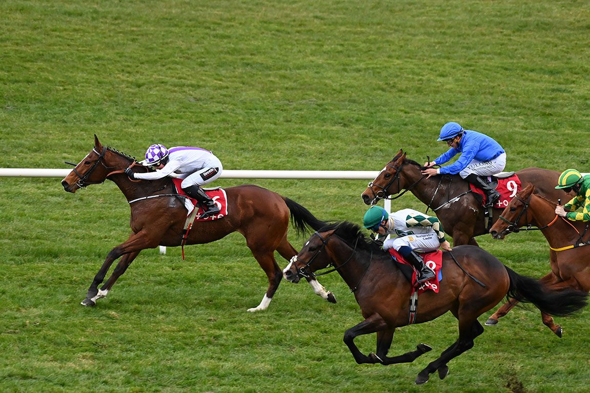 Glen To Glen and Gabriella Adela Hill 