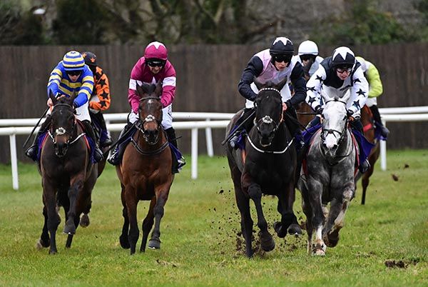 Theflyingking (grey horse, right)