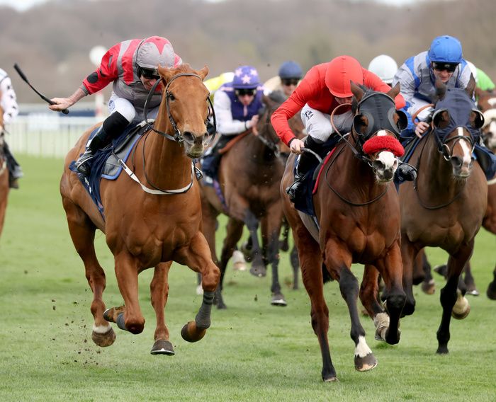 Thunder Roar (left) battles it out with Pearl Eye 