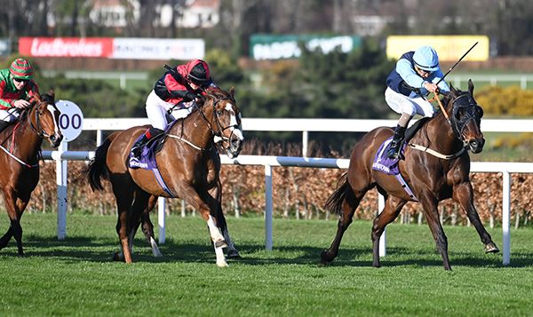 Brains and Shane Foley