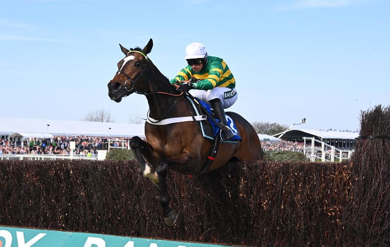 Jonbon (pictured at Aintree)