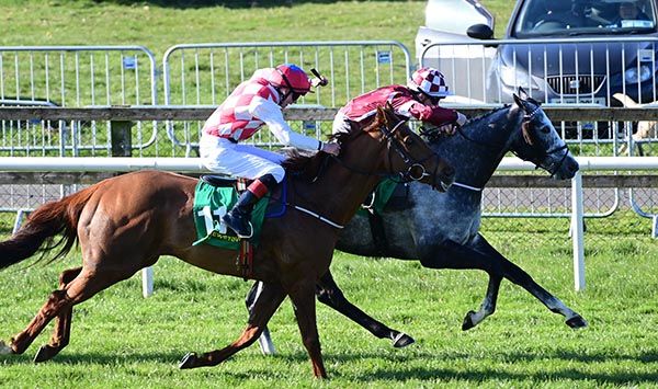 Rockbury Lad (far side) and Sam Coen