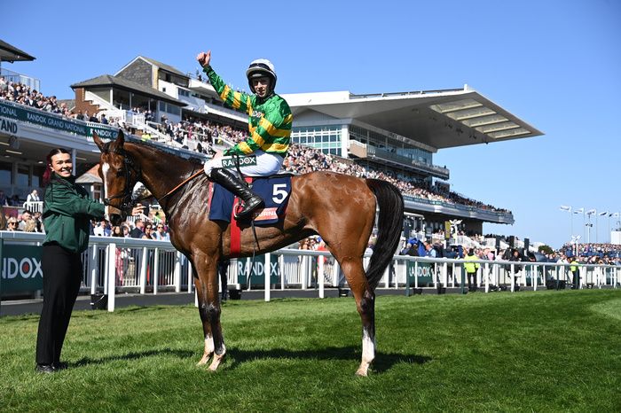 Aintree 5 April 2025 Honesty Policy and Mark Walsh win for trainer Gordon Elliott