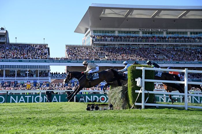 Broadway Boy has been making great progress after fall 