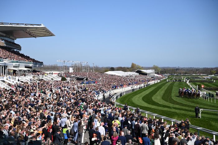 Grand National Day at Aintree
