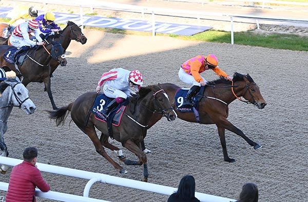 Carrigans Grove and Gary Carroll. 