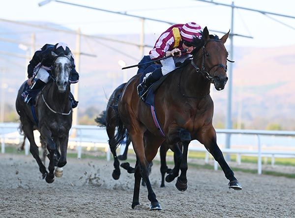 Professor Longhair leads them home