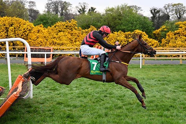 Kaptain Bay and Donagh Meyler. 