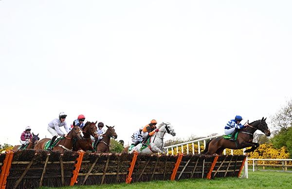 Dunany Point, right, has too much for the field