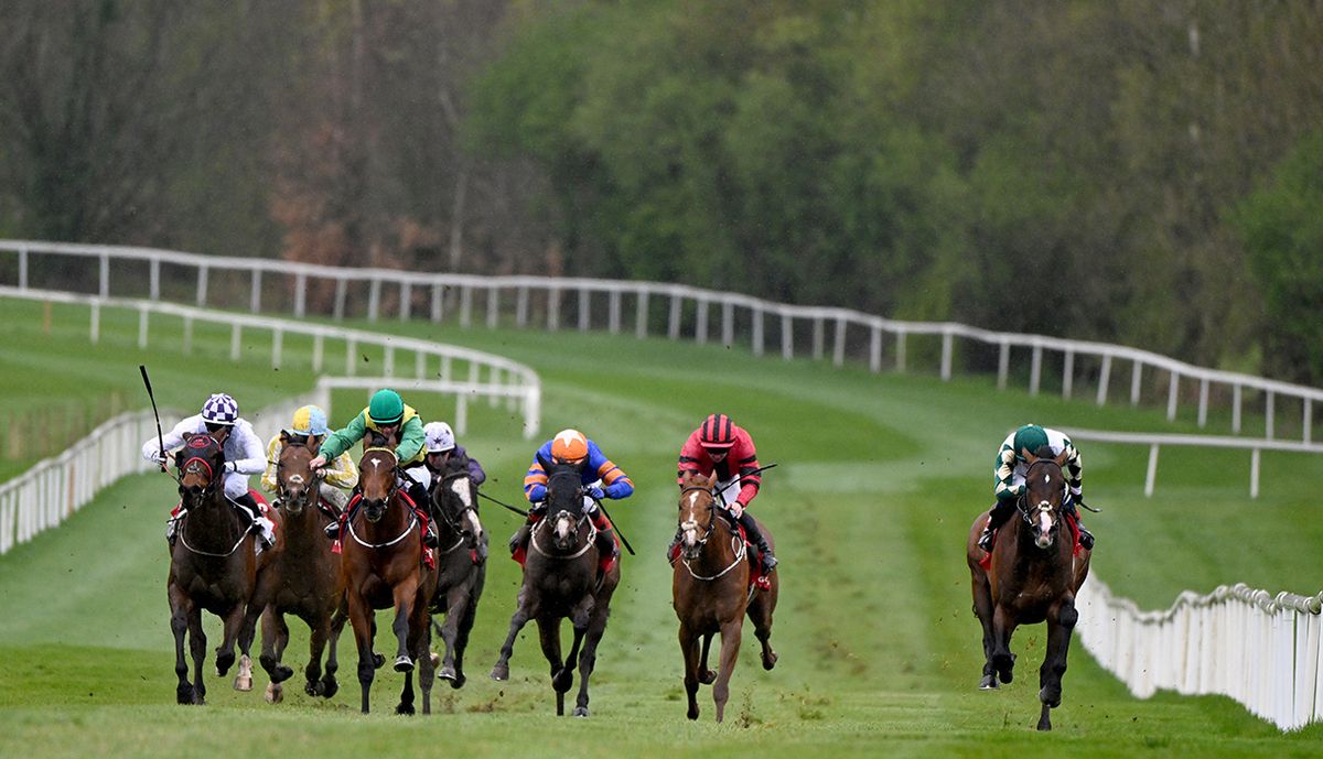 Saint Brandon, third left with green cap, comes home best 