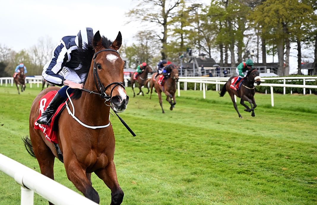 Gotomylovely comes home clear