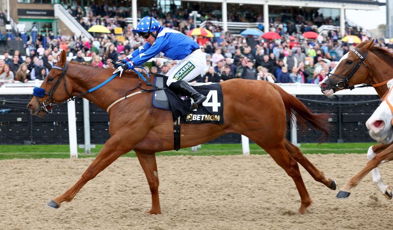 Heavenly Heather out to cause a surprise at York 