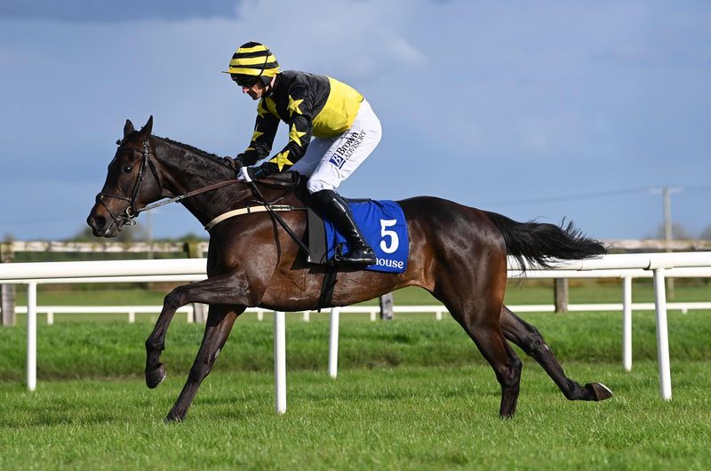 Fairyhouse 21 4 25 Sortudo 