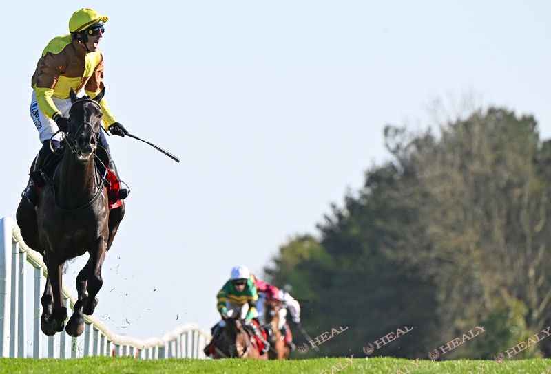 Galopin Des Champs and Paul Townend in full flight at Punchestown April 2025