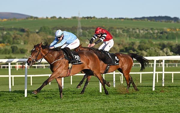 Soldier In Milan and John Gleeson winning at Punchestown