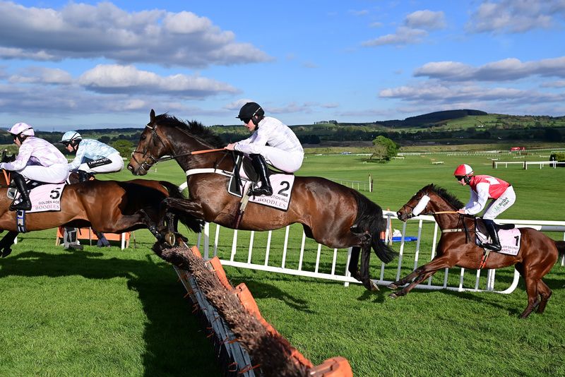  Champion Hurdle Constitution Hill