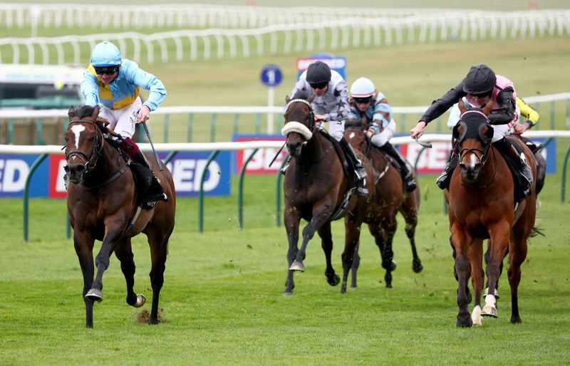 Rumstar (blue and yellow)