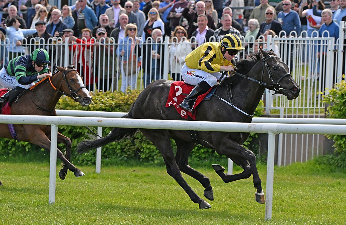 Agouti Bear (Jamie Powell) winning at Sligo
