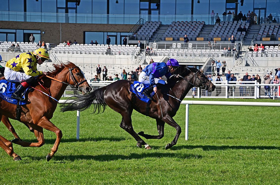Prime Sign (Billy Lee) beats Velvet Skies (Terry Casey)